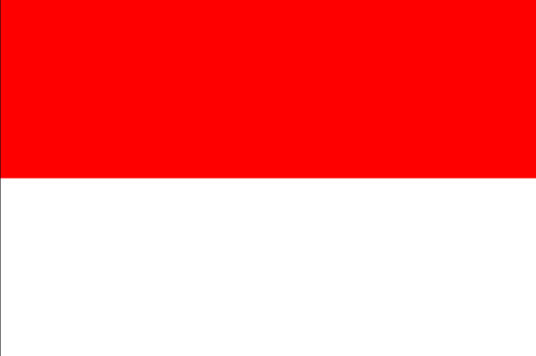 印尼专线